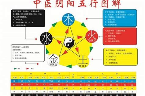 小五行|小字的五行属性